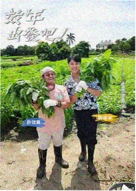 城市夜行者纪实综艺缩略图