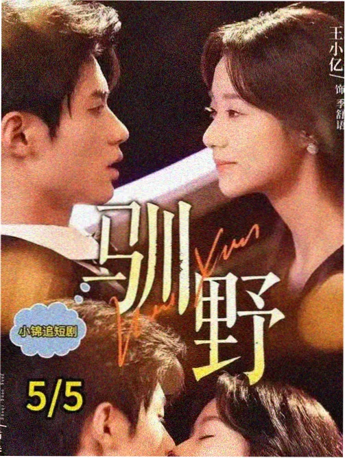 99re免费视频电视剧频道